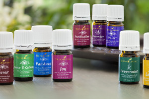 Young-Living-Essential-Oils-Everyday-Oils-Kit